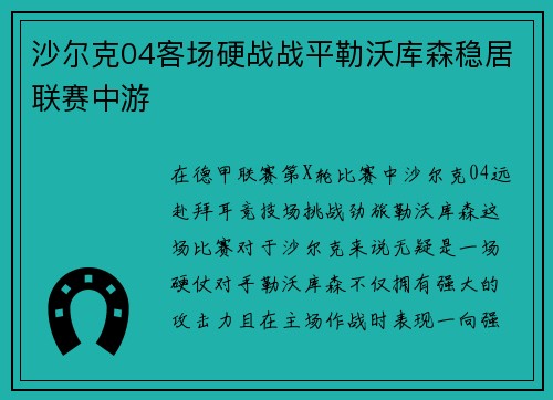 沙尔克04客场硬战战平勒沃库森稳居联赛中游